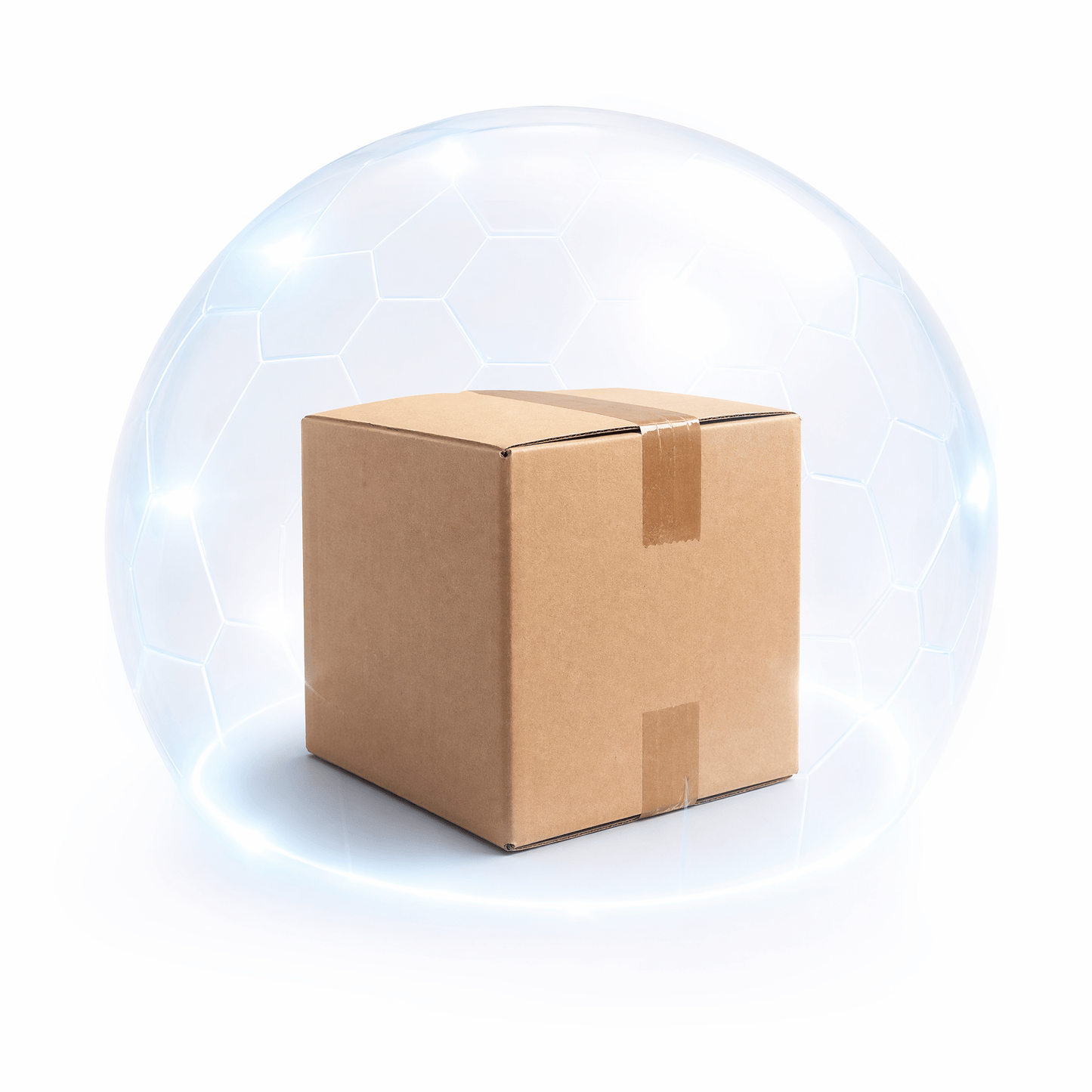 Shipping Protection